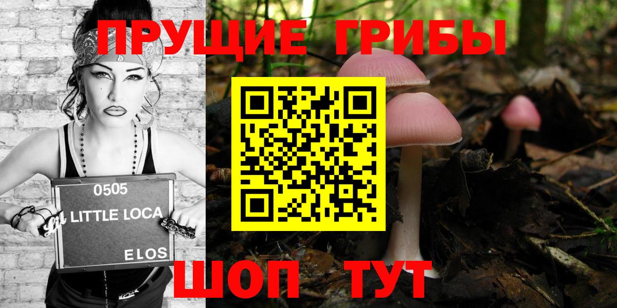Псилоцибиновые грибы MAGIC MUSHROOMS  Вход с VPN  Камень-на-Оби 