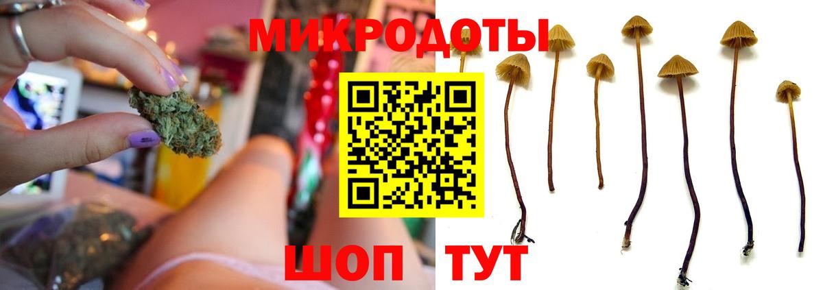 Галлюциногенные грибы Cubensis Камень-на-Оби